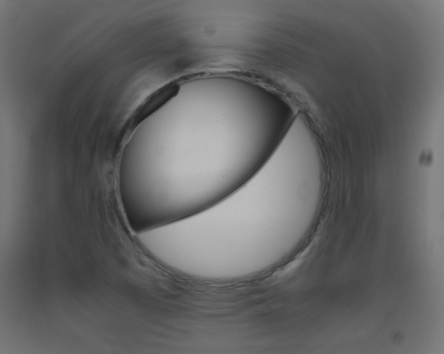 X0000093531457200710121139