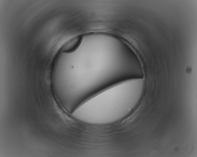 X0000093531458200710121139