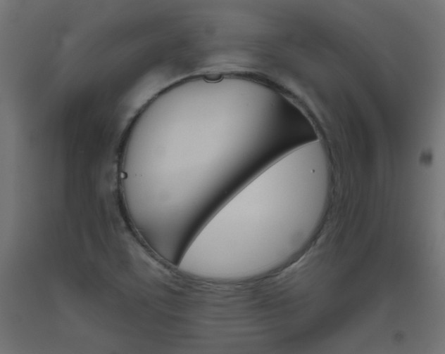 X0000093531459200710121139