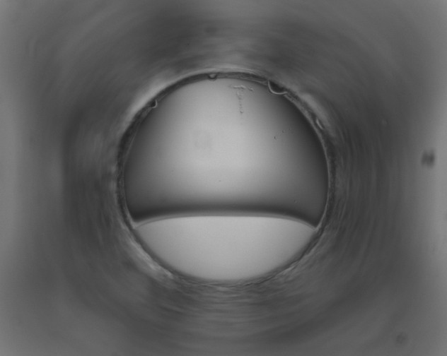 X0000093531460200710121139