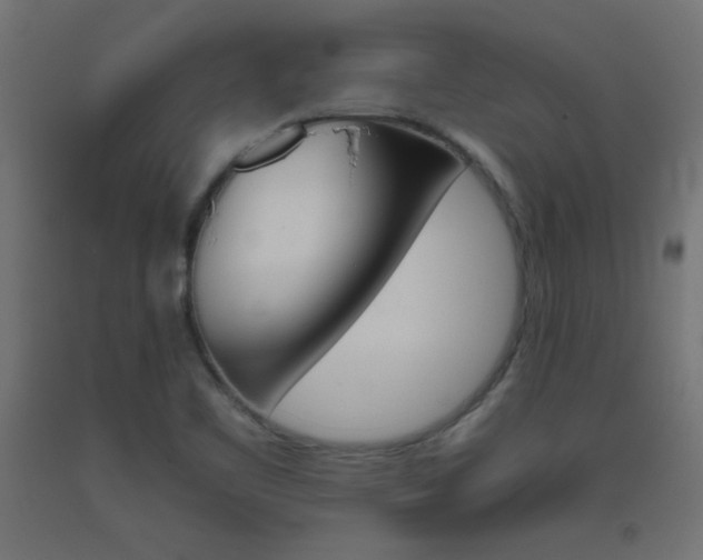 X0000093531461200710121139
