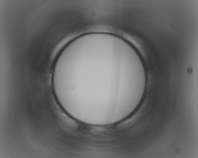 X0000093531462200710121139