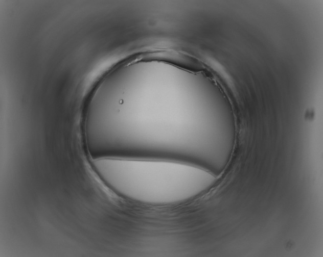 X0000093531464200710121139
