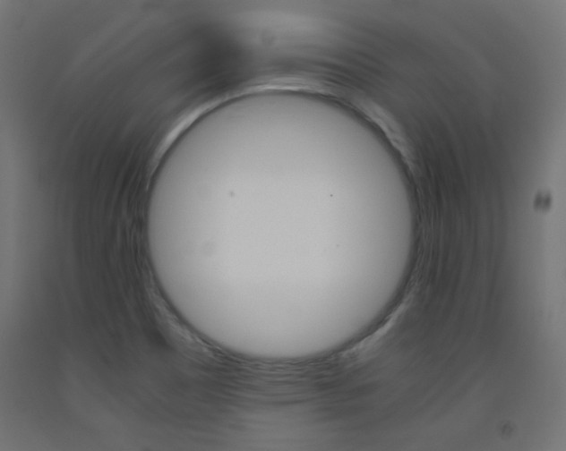 X0000093531465200710121139