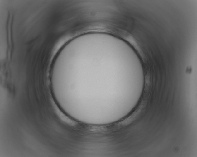 X0000093531466200710121139