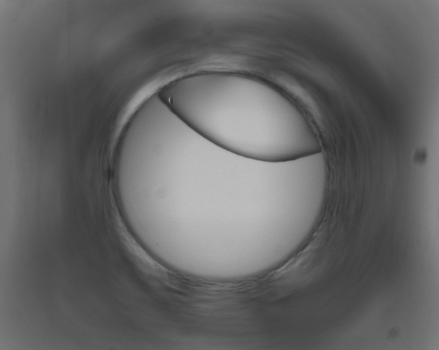 X0000093531467200710121139