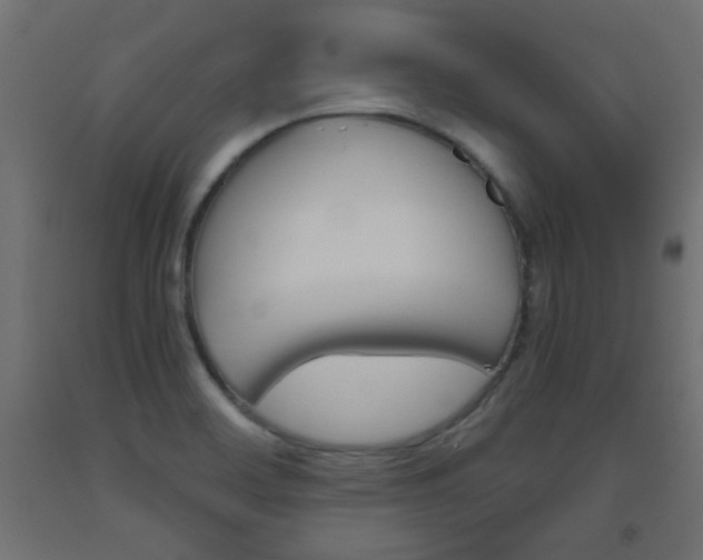 X0000093531468200710121139