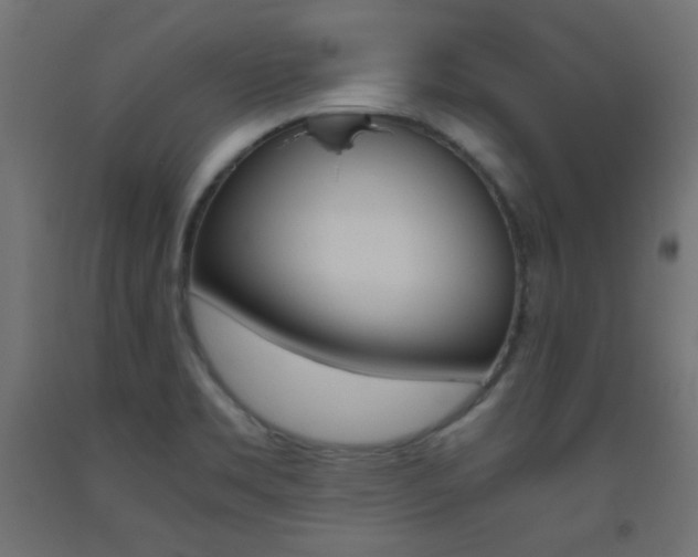 X0000093531469200710121139