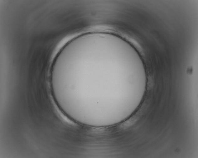 X0000093531470200710121139