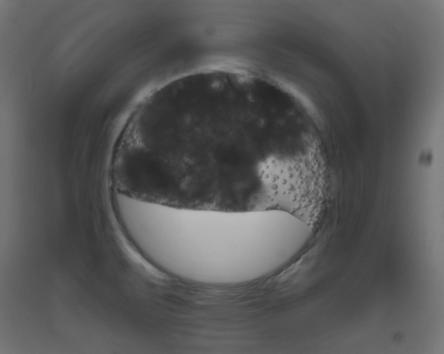 X0000093531471200710121139