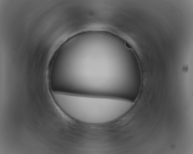 X0000093531472200710121138