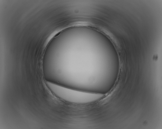 X0000093531473200710121138