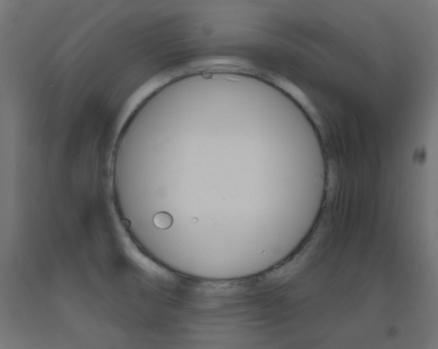 X0000093531474200710121138