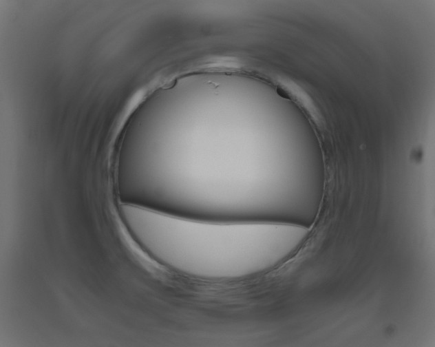 X0000093531475200710121138