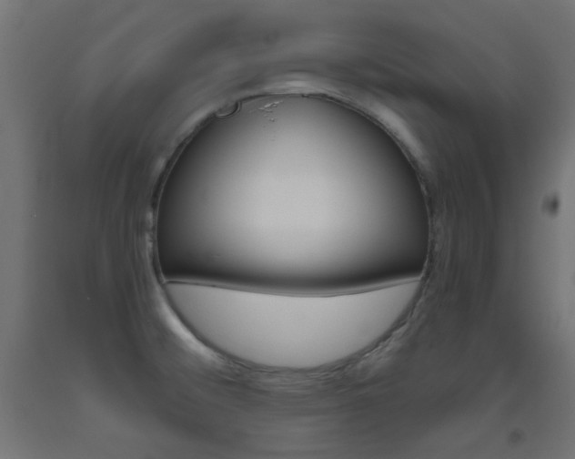 X0000093531476200710121138