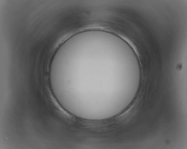X0000093531477200710121138