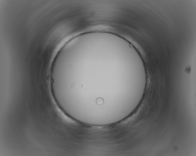 X0000093531478200710121138