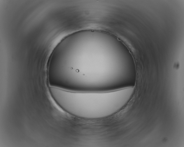 X0000093531479200710121138