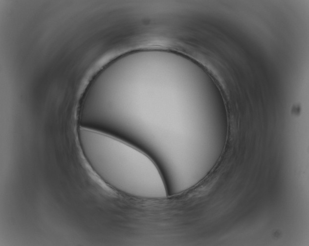 X0000093531480200710121138