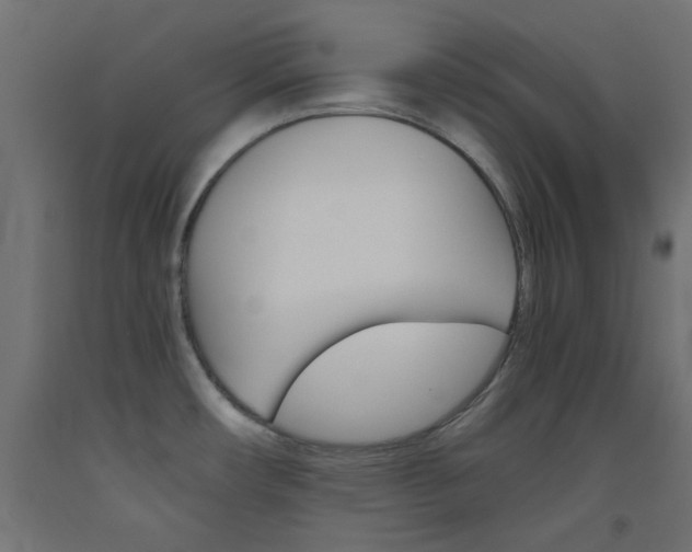 X0000093531482200710121138