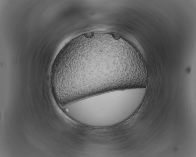 X0000093531483200710121138