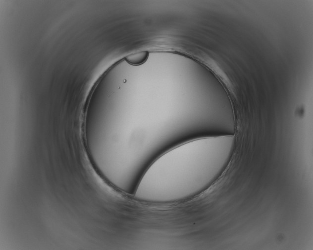 X0000093531484200710121138