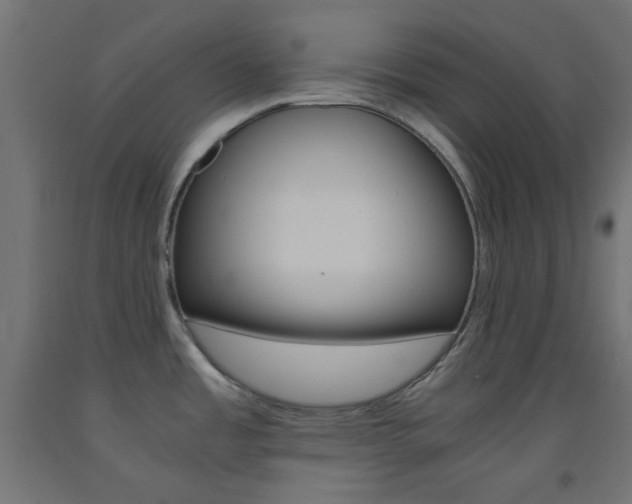 X0000093531485200710121138