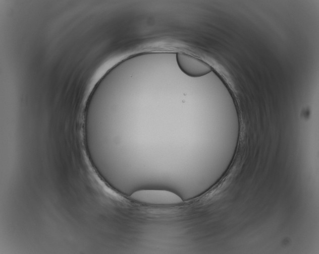 X0000093531486200710121138