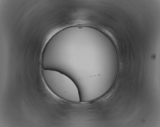 X0000093531487200710121138