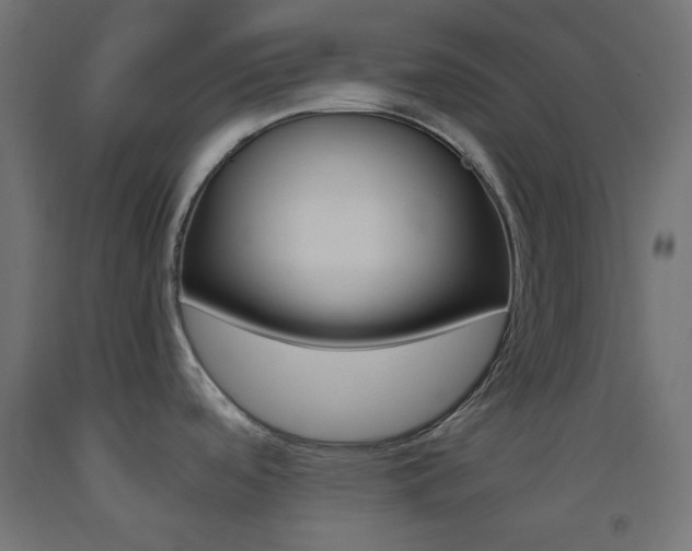X0000093531488200710121138