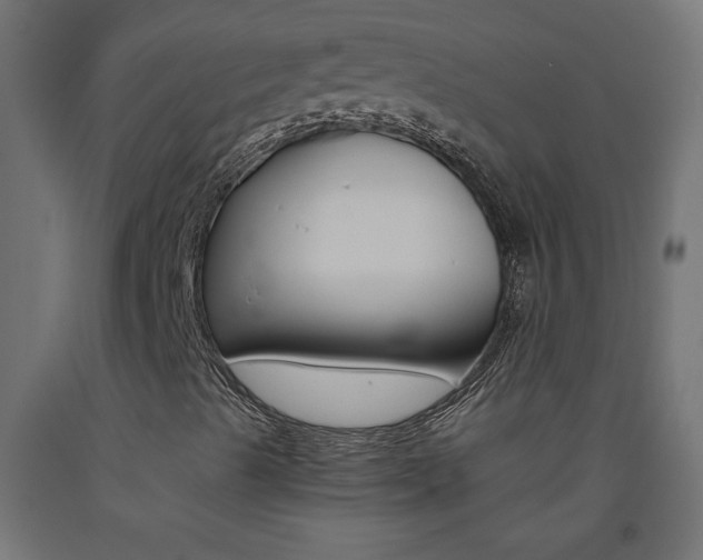 X0000093531489200710121138