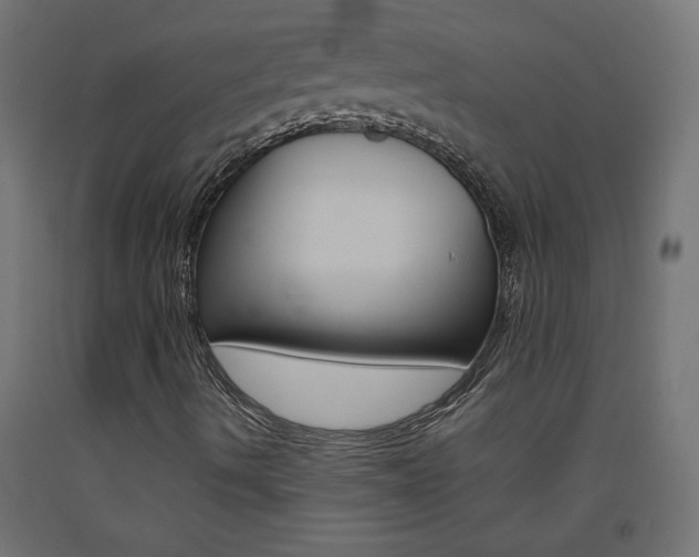 X0000093531490200710121138