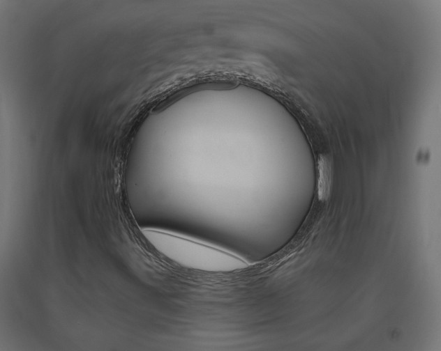 X0000093531491200710121138
