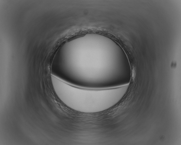 X0000093531492200710121138