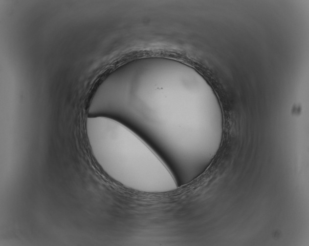 X0000093531493200710121138
