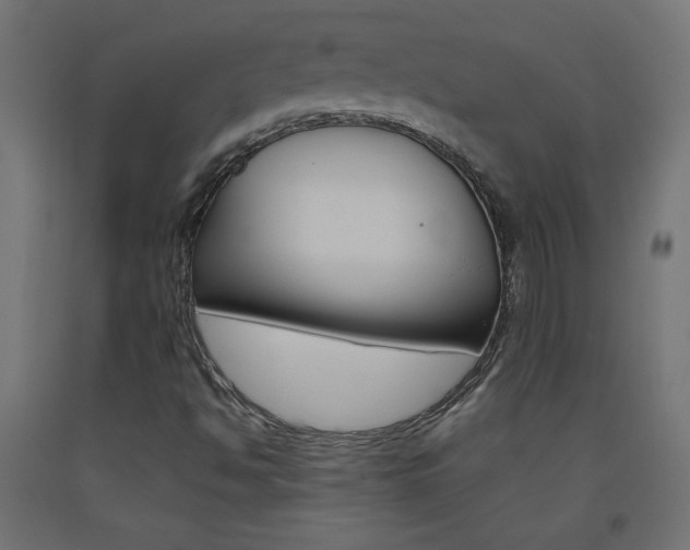 X0000093531494200710121138