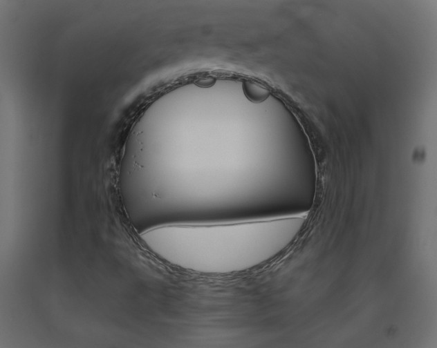 X0000093531495200710121138