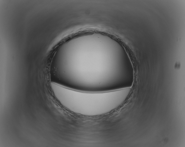 X0000093531496200710121138