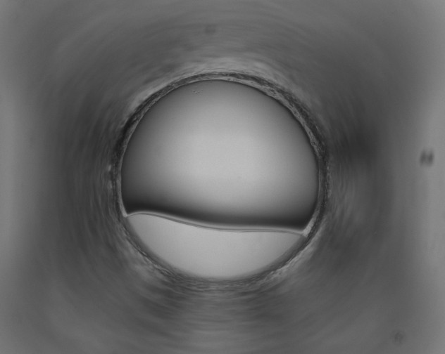 X0000093531497200710121138