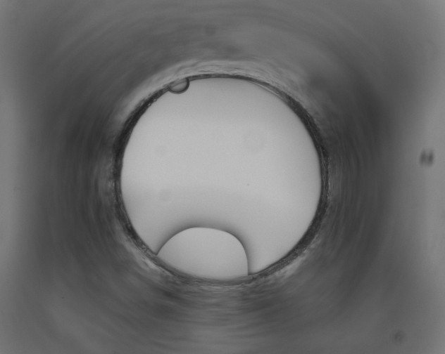 X0000093531498200710121138