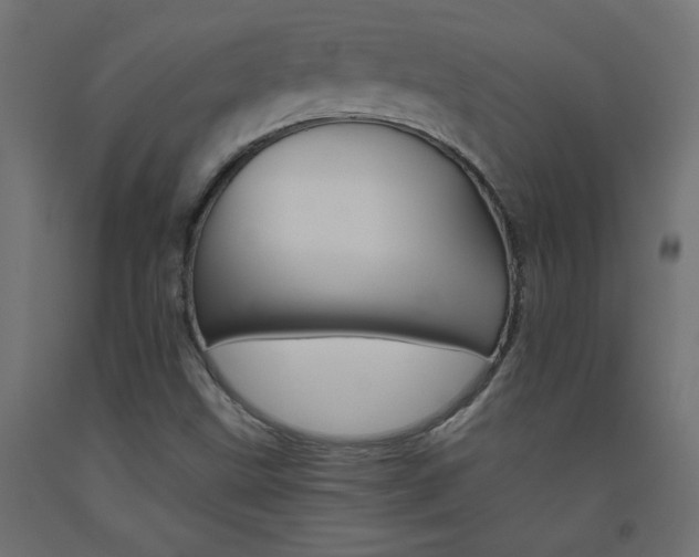 X0000093531499200710121138