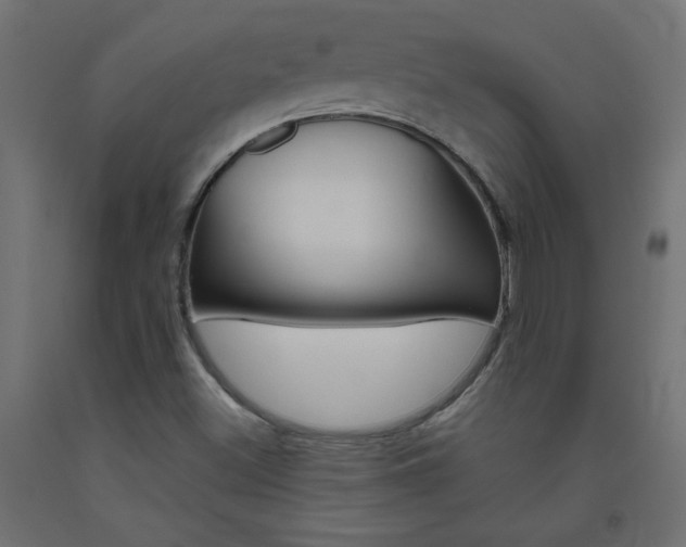 X0000093531500200710121138