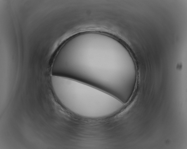 X0000093531501200710121138