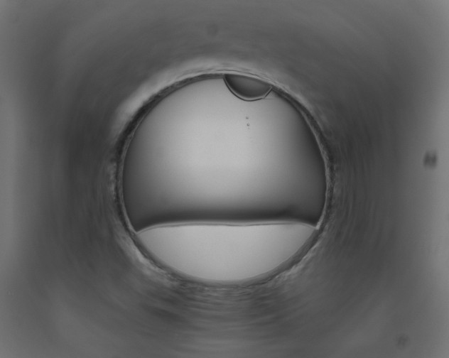 X0000093531503200710121138