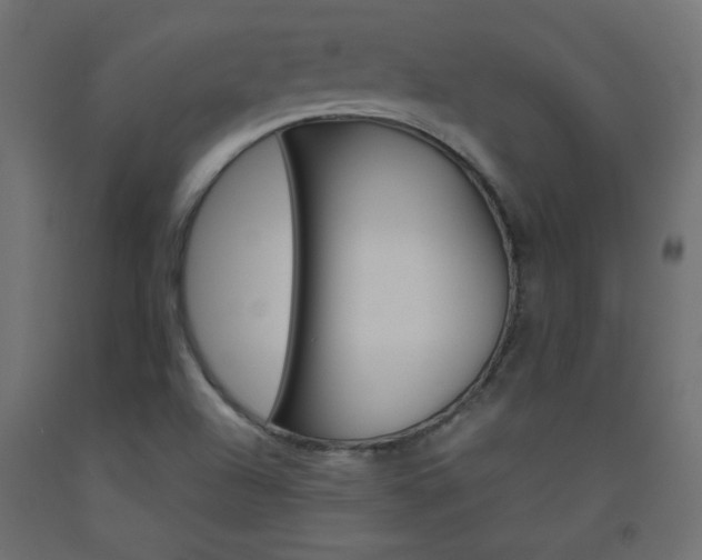 X0000093531504200710121138