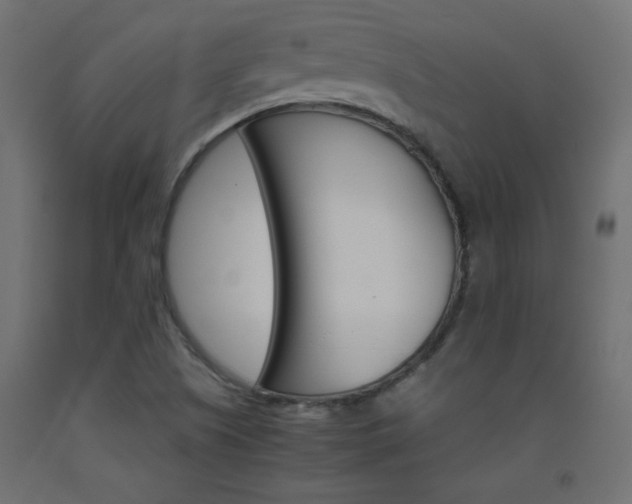 X0000093531505200710121138