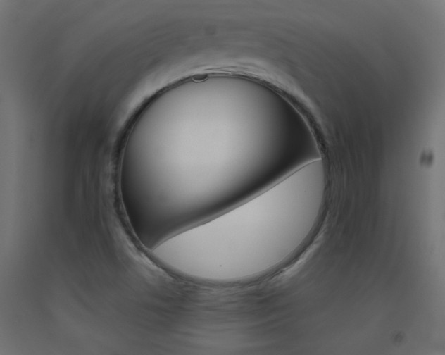 X0000093531506200710121138