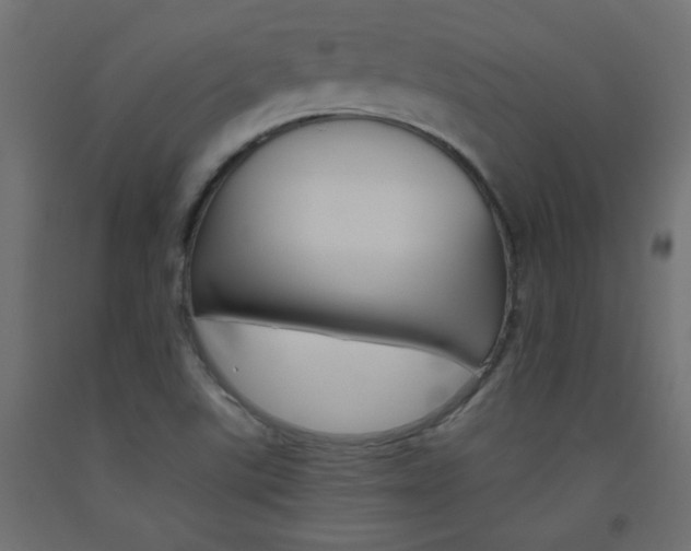 X0000093531507200710121138