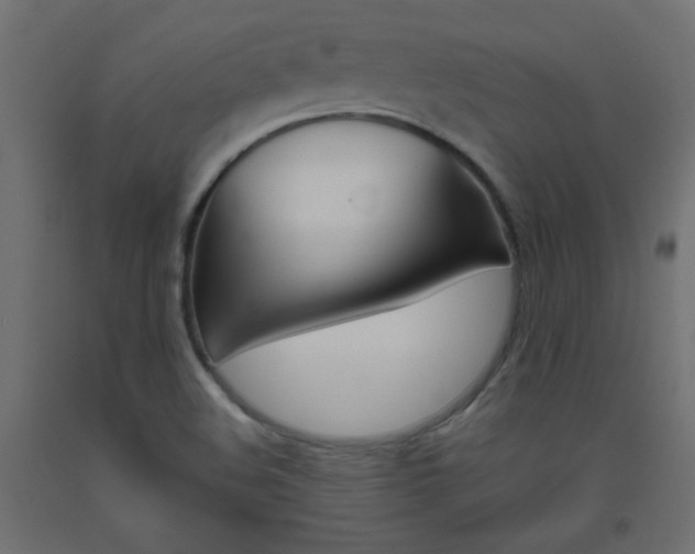 X0000093531508200710121138