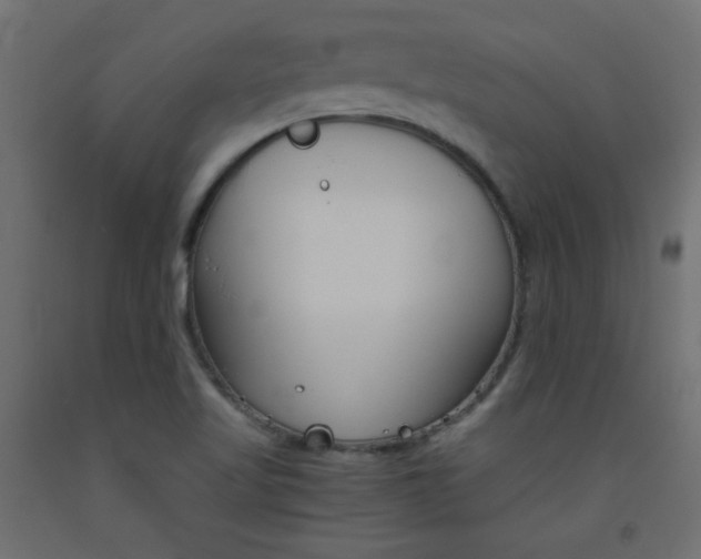 X0000093531509200710121138